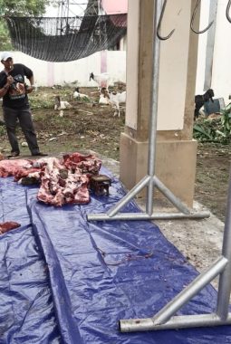 Pemkab Sumenep Perkuat Kepedulian Sosial Melalui Penyaluran Hewan Kurban Iduladha 1447 H
