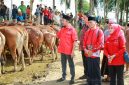 Ketua DPC PDI Perjuangan Kabupaten Sumenep, Dr. H. Achmad Fauzi Wongsojudo, secara simbolis menyerahkan hewan kurban mewakili MH. Said Abdullah. @suaradara.com