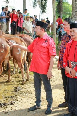 Jelang Iduladha 1447 H, Said Abdullah Salurkan 298 Ekor Sapi Kurban untuk Masyarakat Madura