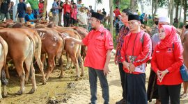 Ketua DPC PDI Perjuangan Kabupaten Sumenep, Dr. H. Achmad Fauzi Wongsojudo, secara simbolis menyerahkan hewan kurban mewakili MH. Said Abdullah. @suaradara.com