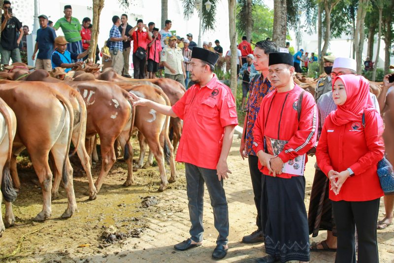 Ketua DPC PDI Perjuangan Kabupaten Sumenep, Dr. H. Achmad Fauzi Wongsojudo, secara simbolis menyerahkan hewan kurban mewakili MH. Said Abdullah. @suaradara.com