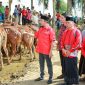 Ketua DPC PDI Perjuangan Kabupaten Sumenep, Dr. H. Achmad Fauzi Wongsojudo, secara simbolis menyerahkan hewan kurban mewakili MH. Said Abdullah. @suaradara.com