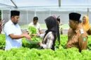 Bupati Sumenep, Achmadi Fauzi Wongsojodu (baju putih) didamping Kepala Dinas Ketahanan Pangan dan Pertanian Chainur Rasyid saat meninjau langsung proses budidaya sayuran hidroponik IRA Farm di Desa Ketawang Laok