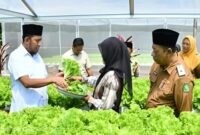 Bupati Sumenep, Achmadi Fauzi Wongsojodu (baju putih) didamping Kepala Dinas Ketahanan Pangan dan Pertanian Chainur Rasyid saat meninjau langsung proses budidaya sayuran hidroponik IRA Farm di Desa Ketawang Laok