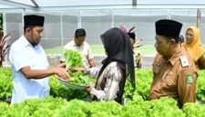 Bupati Sumenep, Achmadi Fauzi Wongsojodu (baju putih) didamping Kepala Dinas Ketahanan Pangan dan Pertanian Chainur Rasyid saat meninjau langsung proses budidaya sayuran hidroponik IRA Farm di Desa Ketawang Laok