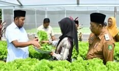 Pemkab Sumenep Dorong Pertanian Modern Berbasis Teknologi