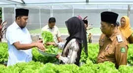 Bupati Sumenep, Achmadi Fauzi Wongsojodu (baju putih) didamping Kepala Dinas Ketahanan Pangan dan Pertanian Chainur Rasyid saat meninjau langsung proses budidaya sayuran hidroponik IRA Farm di Desa Ketawang Laok