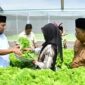 Bupati Sumenep, Achmadi Fauzi Wongsojodu (baju putih) didamping Kepala Dinas Ketahanan Pangan dan Pertanian Chainur Rasyid saat meninjau langsung proses budidaya sayuran hidroponik IRA Farm di Desa Ketawang Laok