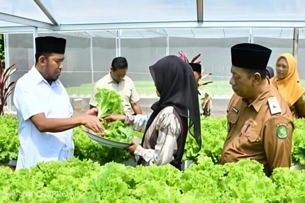 Bupati Sumenep, Achmadi Fauzi Wongsojodu (baju putih) didamping Kepala Dinas Ketahanan Pangan dan Pertanian Chainur Rasyid saat meninjau langsung proses budidaya sayuran hidroponik IRA Farm di Desa Ketawang Laok